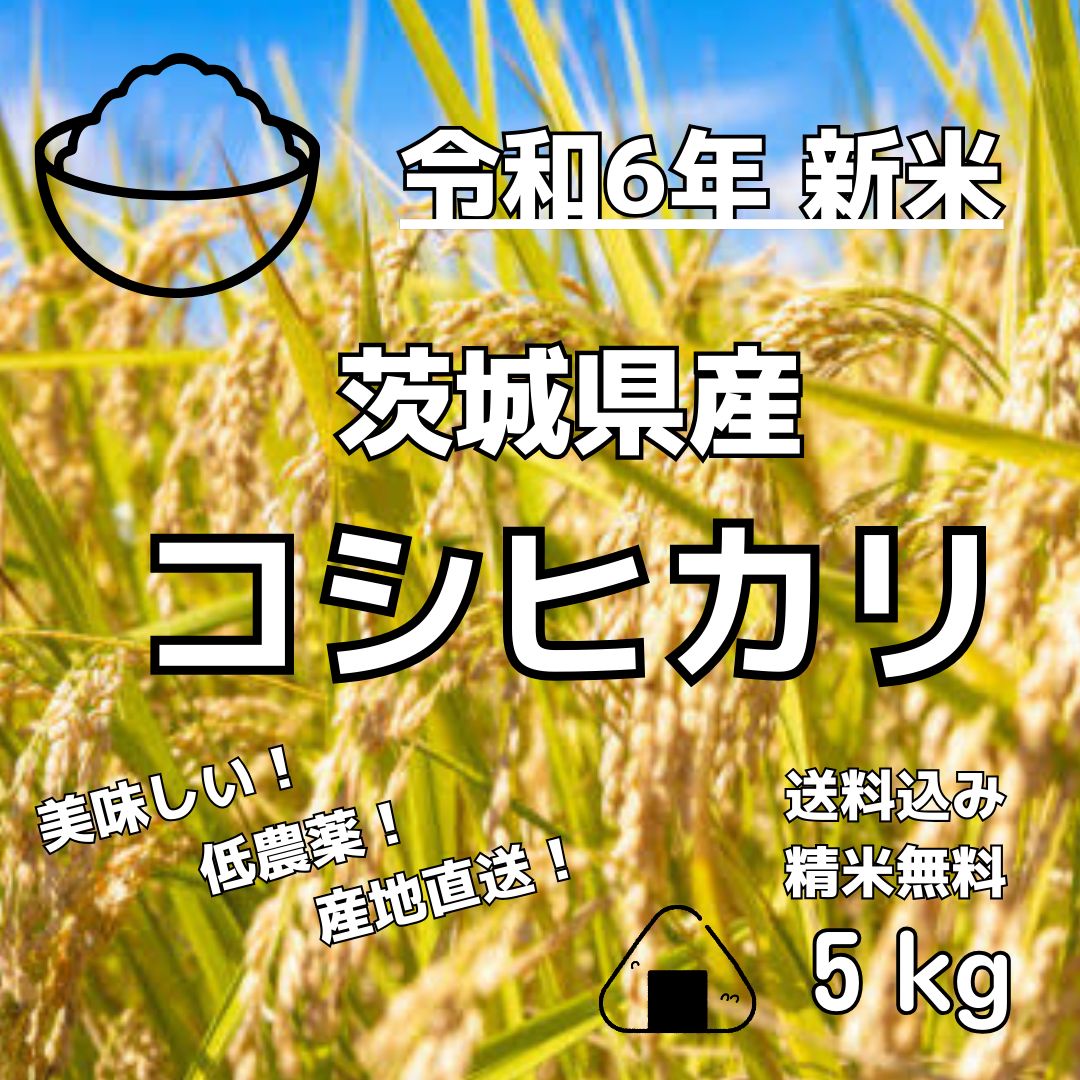 2024茨城県産コシヒカリ 2024茨城県産コシヒカリ