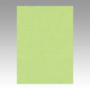 文運堂 ニュー Ｒ 10 243 わかくさ