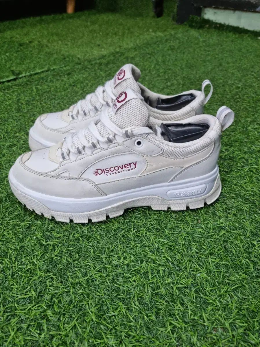 Discovery EXPEDITION スニーカー Sneakers | Discovery-Expedition