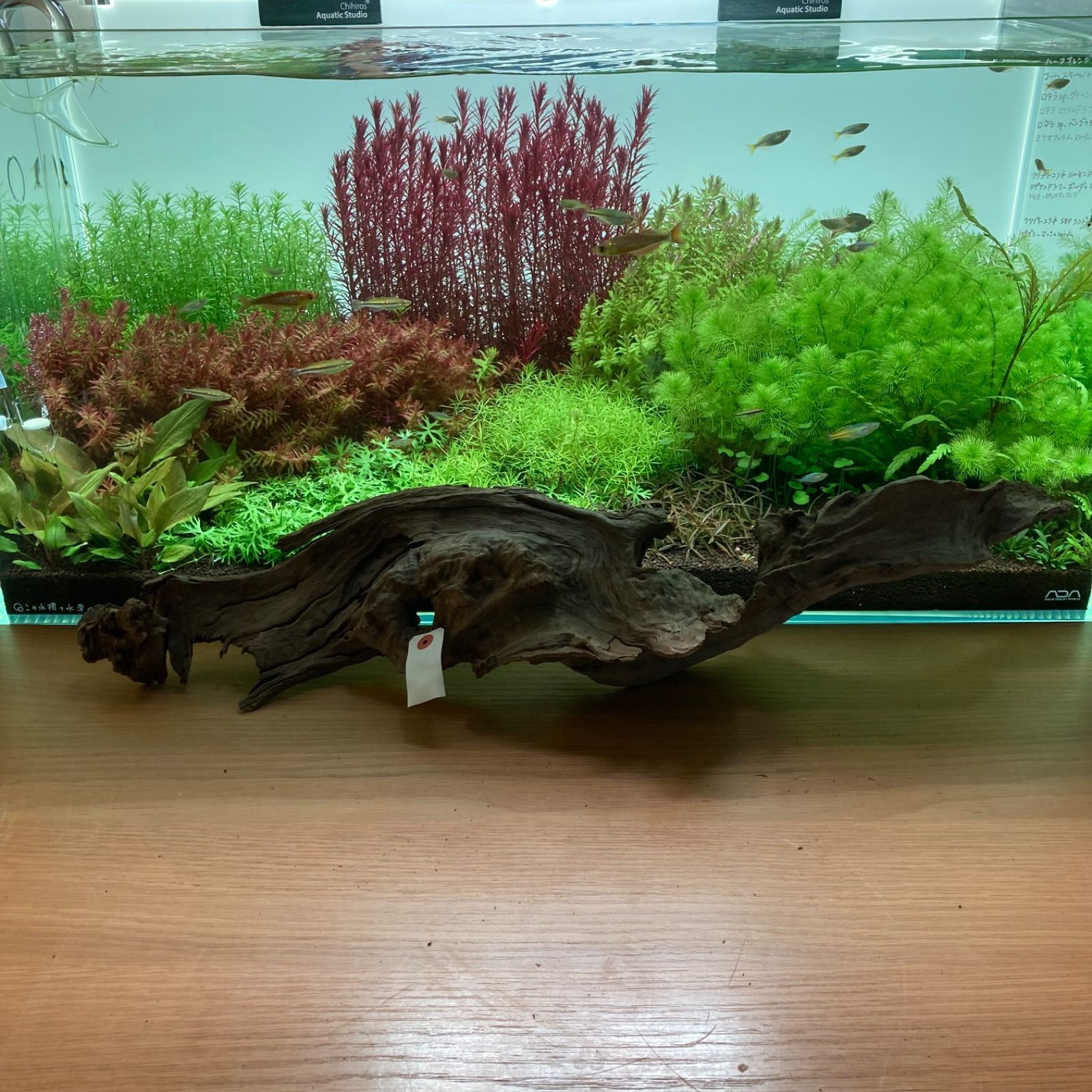 流木（001） - メルカリ