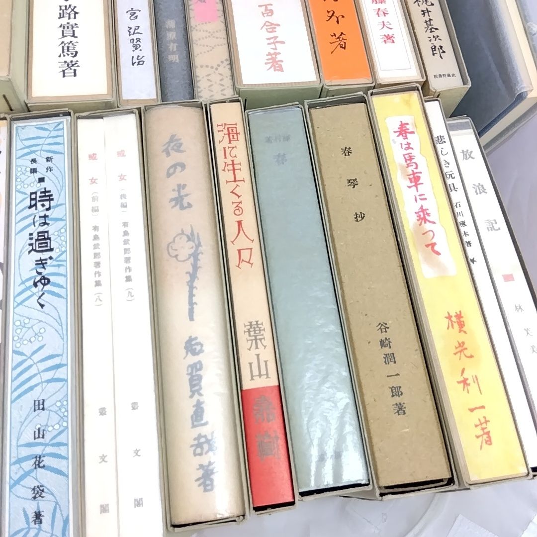 精選 名著復刻全集 近代文学館 全32作品 + 作品解題 + 「東京芸者