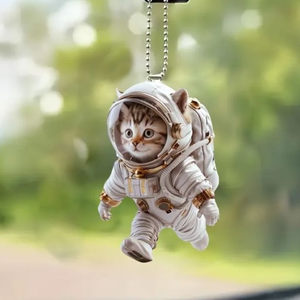 キーホルダー 猫 宇宙飛行士 二足歩行 2D アクリル 8cm 宇宙服を着たねこ カーアクセサリー バックミラー インテリア かわいい t1563 -  メルカリ