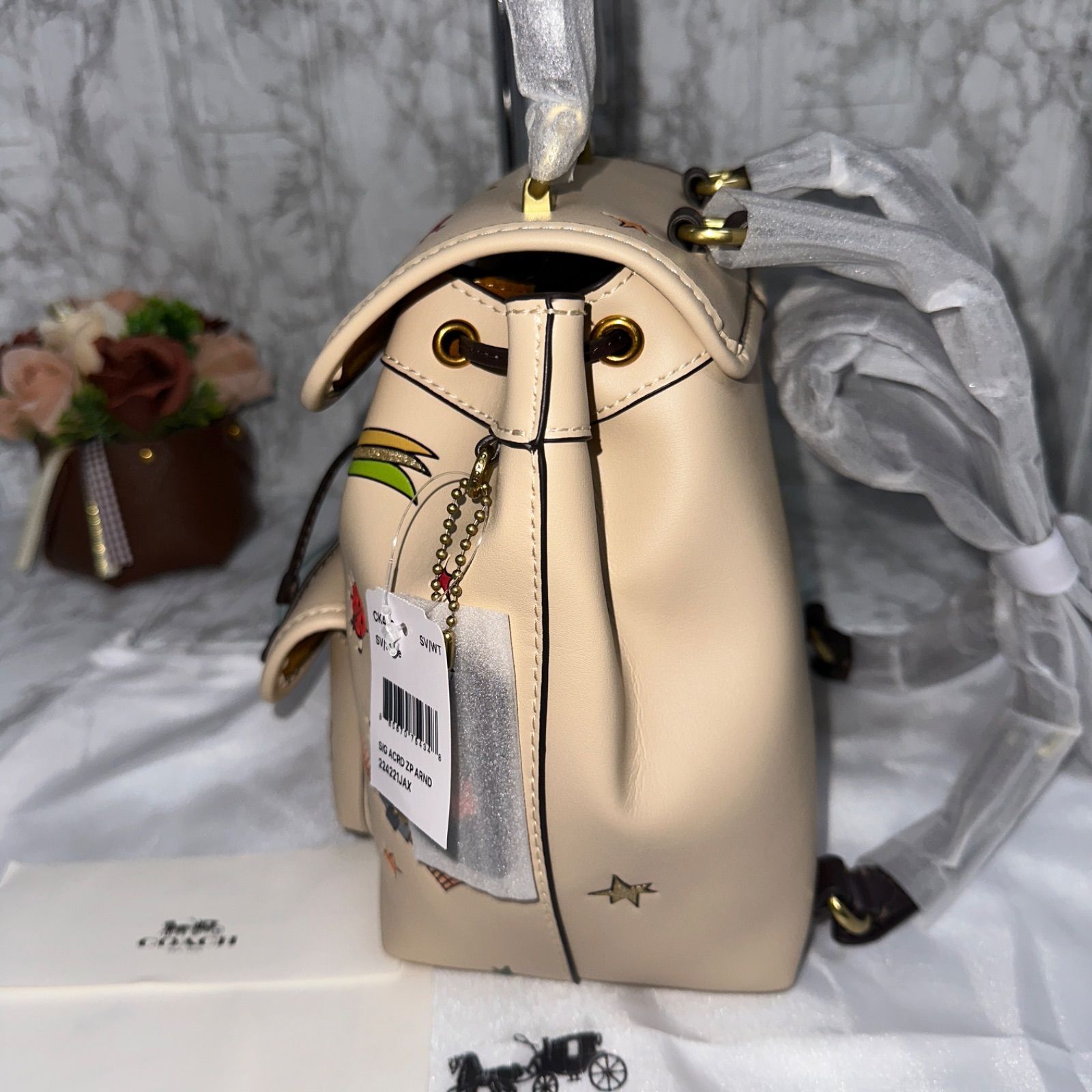 新品☆COACH×OBSERVED BY USリアバックパック21・カラーブロック