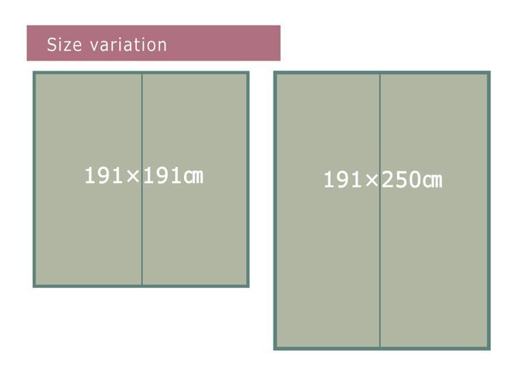 い草ラグカーペット エスニック柄 『NSエルム』 約191×250cm （裏面