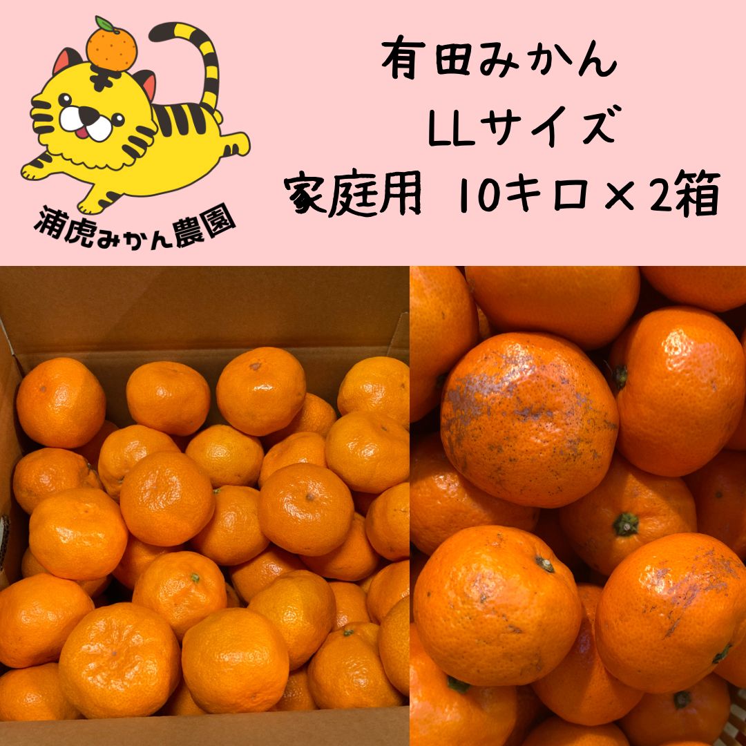 和歌山県有田産 有田みかん おおきめ LLサイズ家庭用 10kg×2箱=20キロ