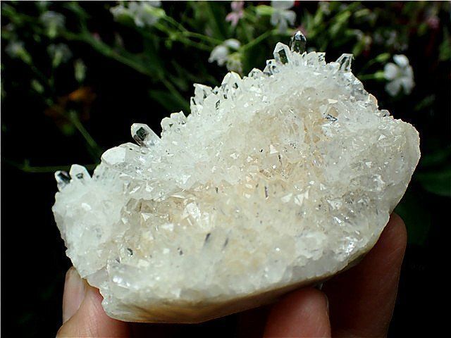 菊花水晶 クラスター AAA 最高級品質 613 菊花水晶 クラスター AAA 最高級品質 613