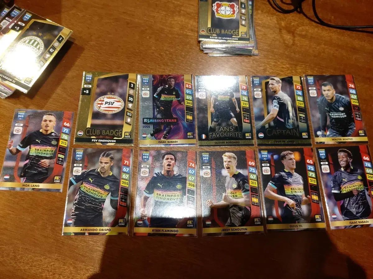 朴 智星（パク・チソン） 球団 PSV アイントホーフェン Panini