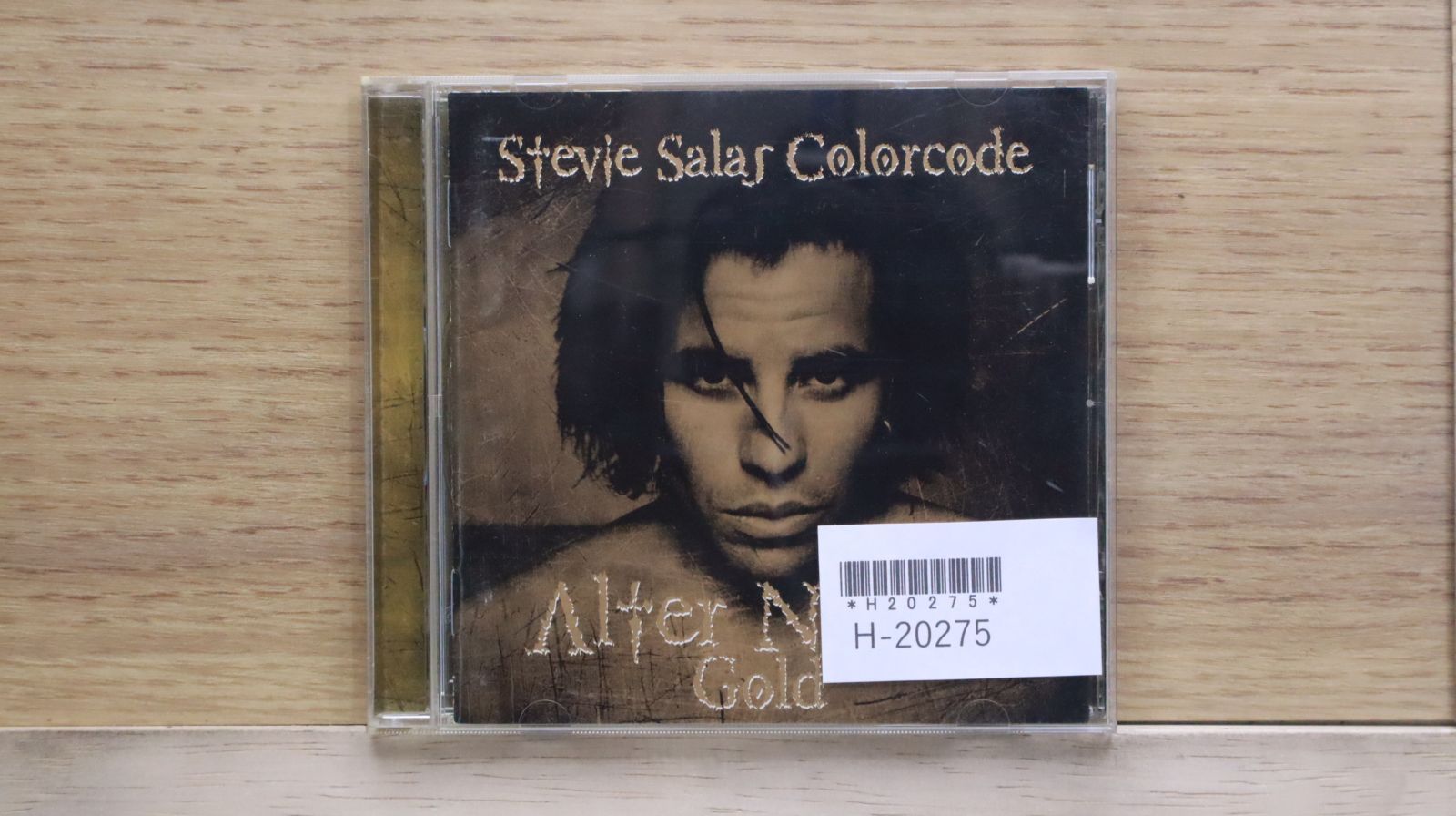 ☆ スティーヴィー・サラス オルタ・ネイティブ Stevie Salas
