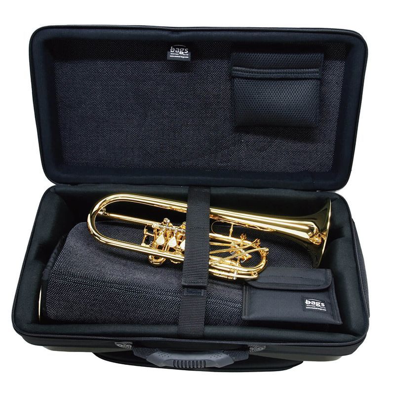 Jupiter アルトサックス JAS-769-767 管楽器 ケース付属 Jupiter アルトサックス JAS-769-767 管楽器 ケース付属 jupiter