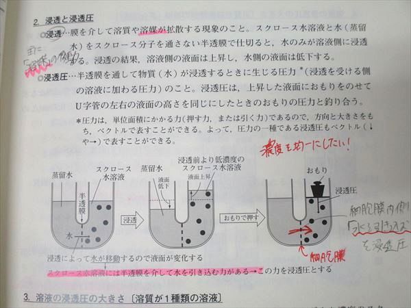 東進 ハイレベル生物 PART1/2 Vol.1/2 テキスト通年セット 2013 計4冊