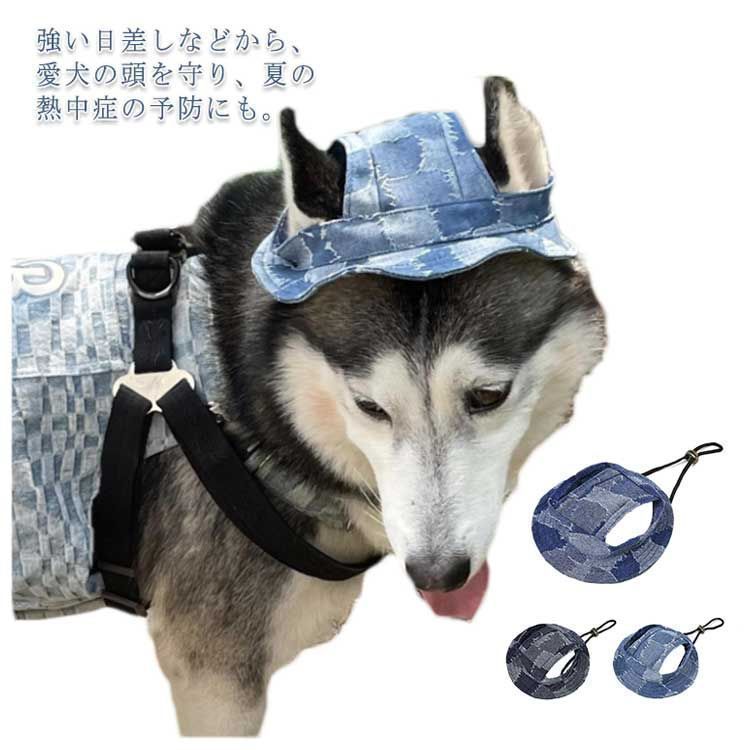 プレゼント キャップ