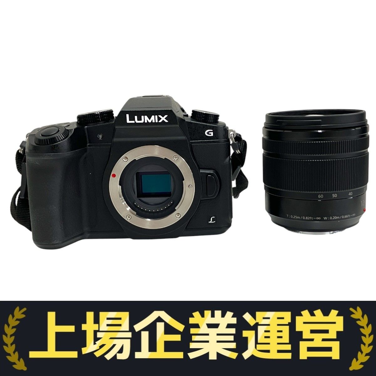 LUMIX G8 ミラーレス一眼　レンズセット LUMIX G8 ズームレンズセット ミラーレス一眼 Panasonic