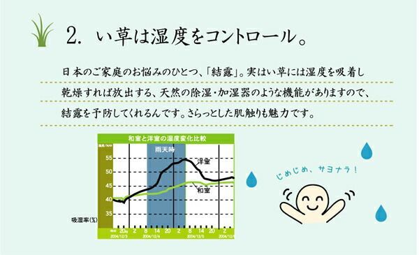 〔リビング ダイニング〕
