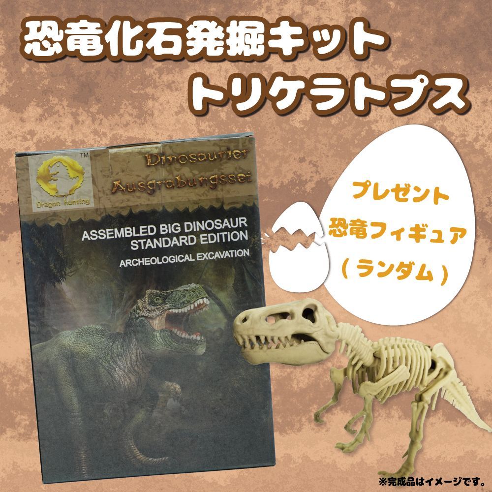 ガチャガチャ 恐竜化石博物館 恐竜 骨 骨格 トリケラトプス