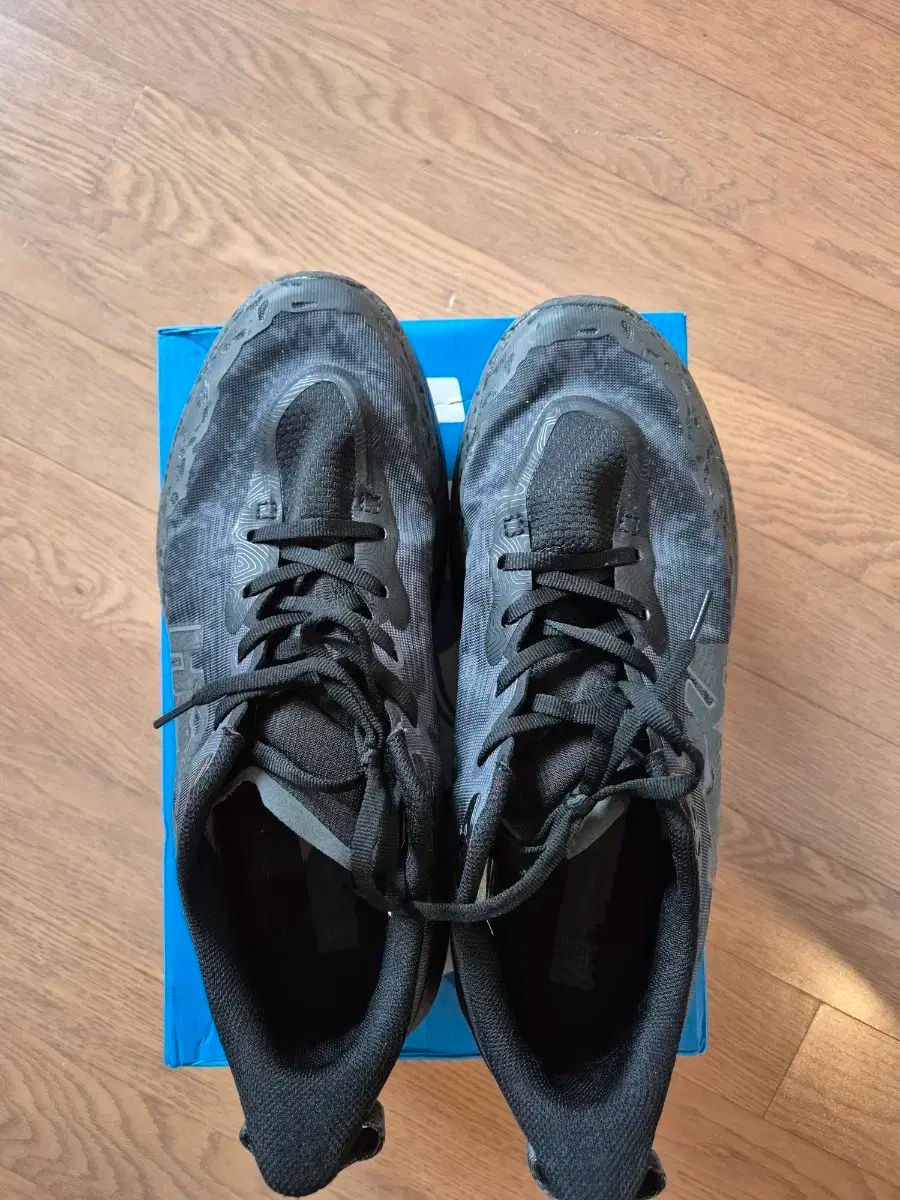 HOKA ONE ONE ホカオネオネ スピードゴート 6 275 サイズ