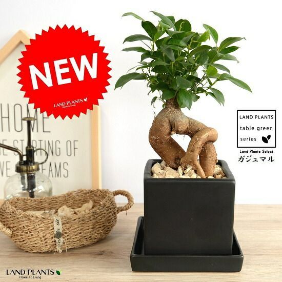 イタリア語◇Dizionario enciclopedico Arte2巻セット