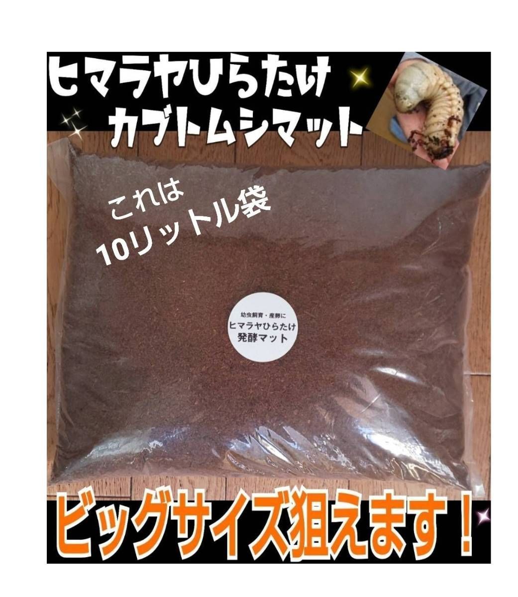たっぷり200リットル☆大量飼育に！カブトムシ幼虫専用発酵マット☆産卵にも抜群！ 大量飼育に！発酵マット【200リットル】カブトムシ幼虫が巨大