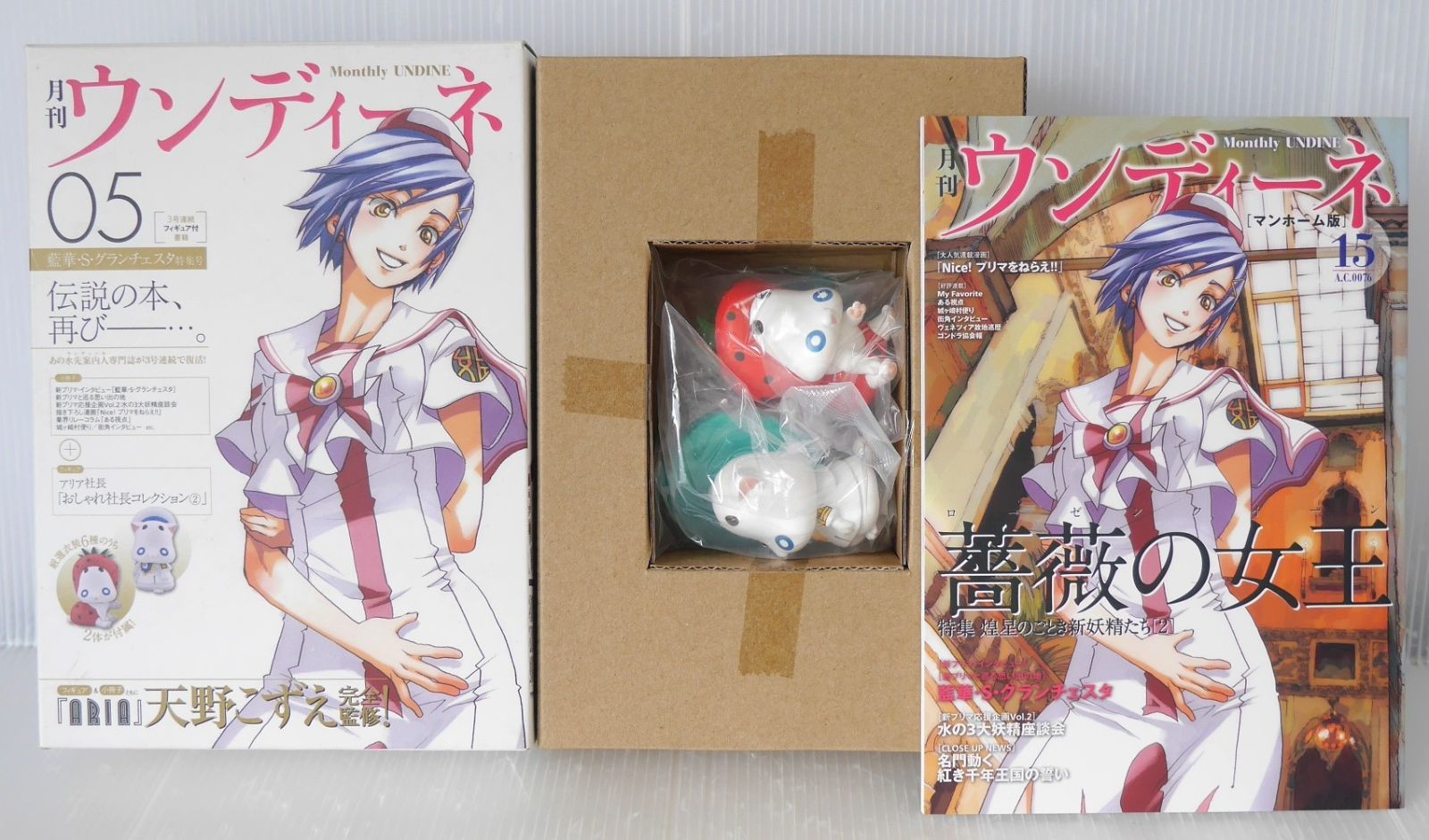 天野こずえ　ARIA 月刊ウンディーネ全巻セット 天野こずえ ARIA 月刊ウンディーネ全巻セット ARIA 完全版全巻セット