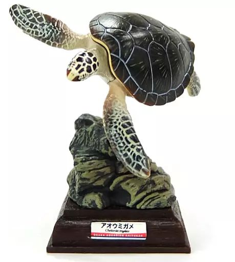 アカウミガメ ネイチャーテクニカラー 海遊館ミュージアム フィギュア 未開封 ネイチャーテクニカラー アカウミガメ 海遊館 フィギュア - メルカリ