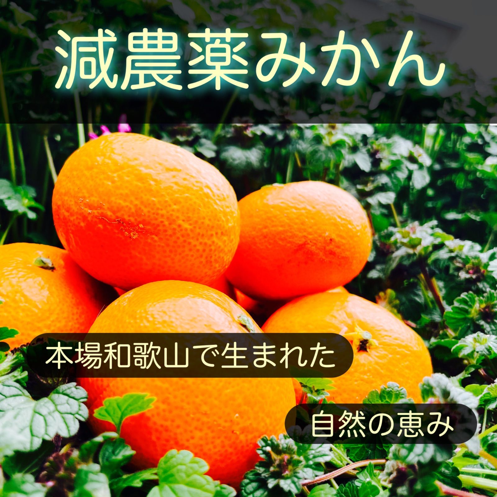 のサムネイル