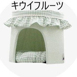 猫 中型犬