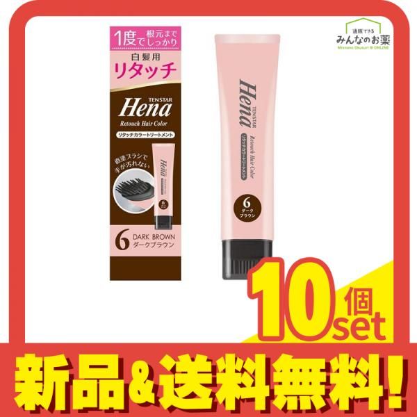 テンスター ヘナ リタッチカラートリートメント 6ダークブラウン 65g 10個セット まとめ売り
