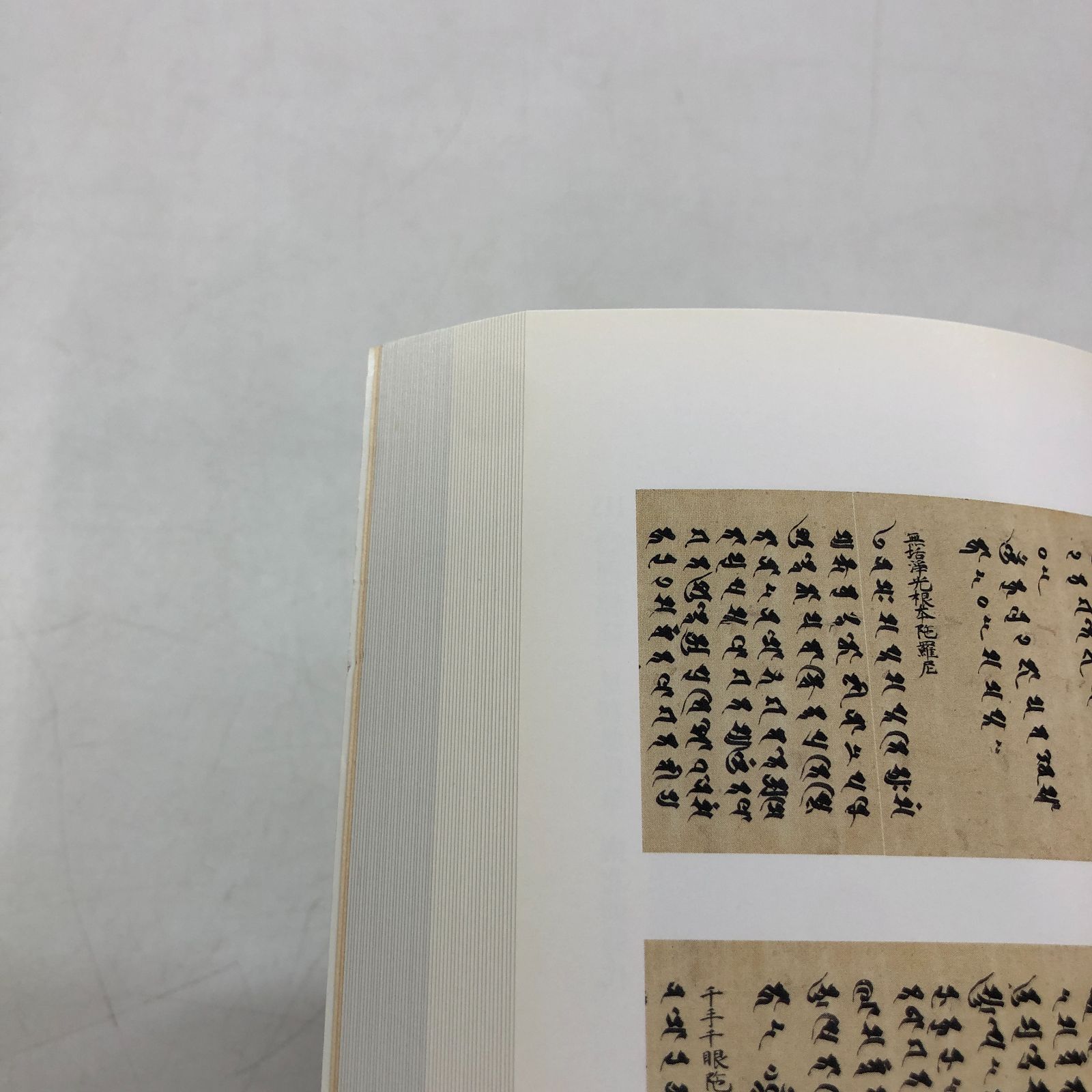 図録 世界遺産 醍醐寺展 -信仰と美の至宝- <<D-5-170793852