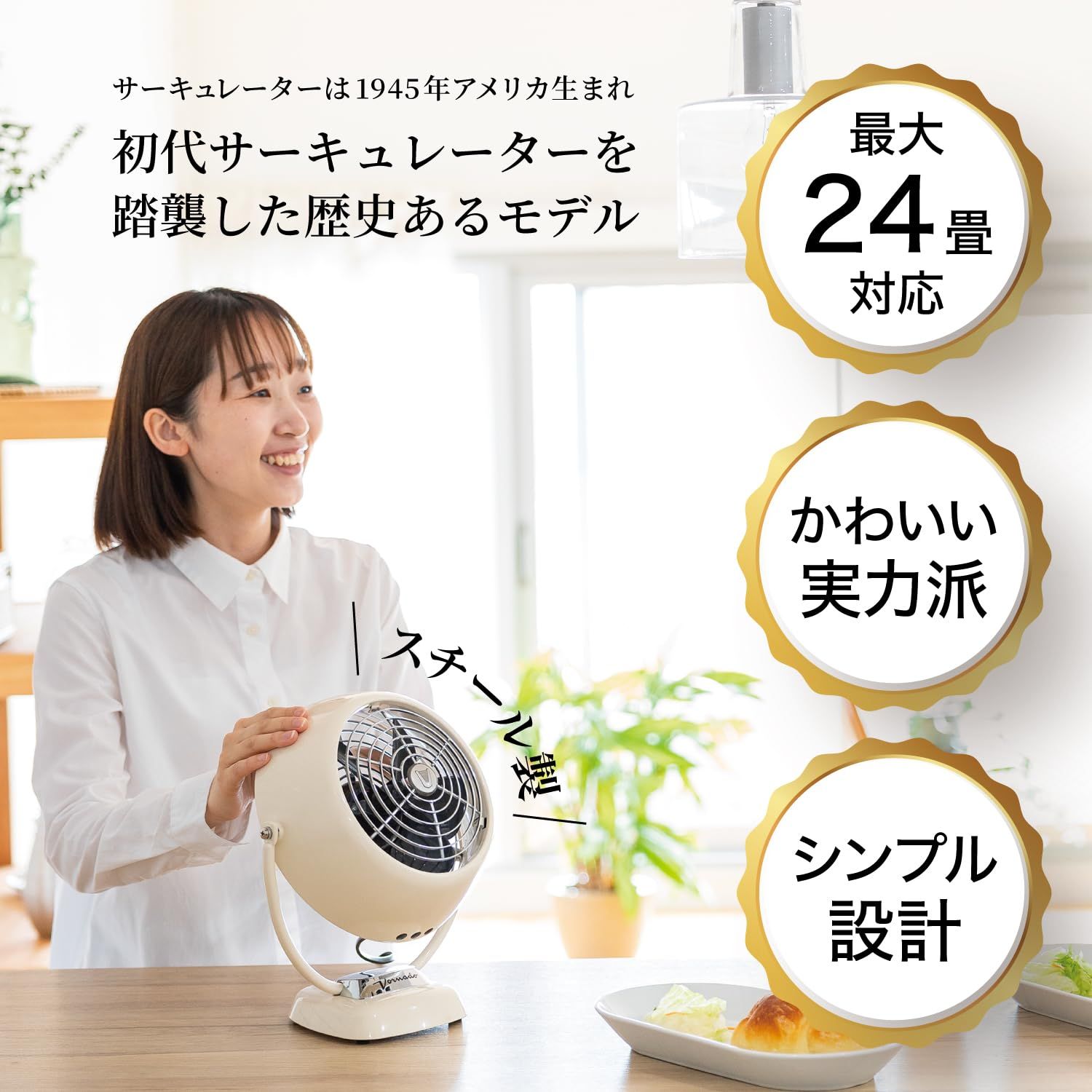 ボルネード サーキュレーター 24畳 レトロ パワフル 省エネ 植物向き 部屋干し 3段階風量 3年 24時間365日使える ビンテージホワイト VFAN2-JP WWW_KANDAIZUMI_COM
