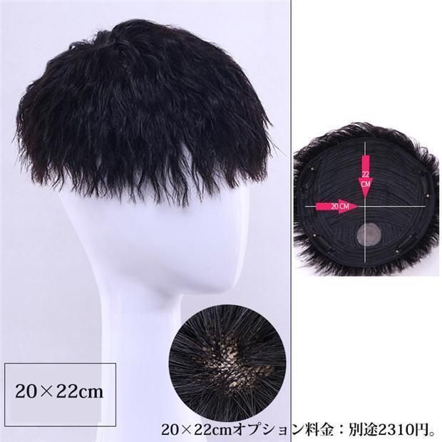 ウィッグ かつら
