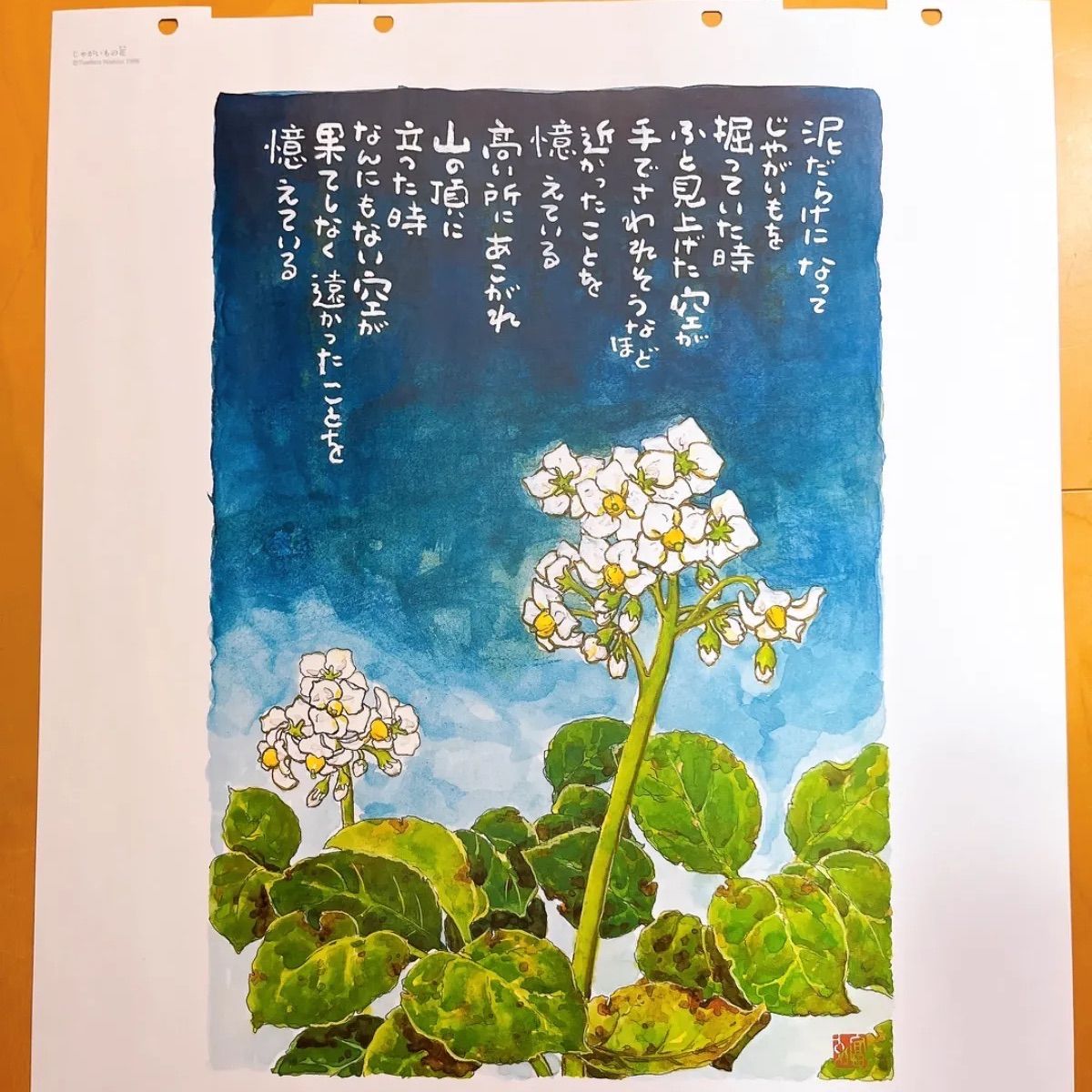 【真作】絵画　星野直子　水彩　向日葵　ガラスの中で咲く命　黄色と緑の調和　U6 真作】絵画 星野直子 水彩 向日葵 ガラスの中で咲く命 黄色と緑