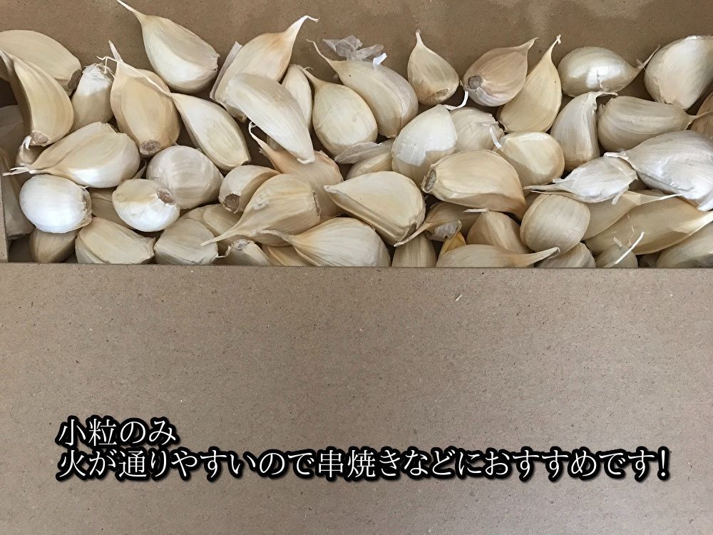 【わけあり品・小粒のみ】青森県産ホワイト六片種にんにく バラ 500g 令和6年度産【高糖度】