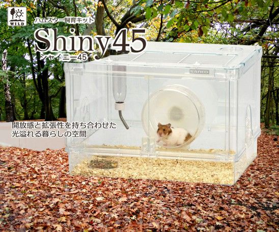 お取り寄せ シャイニー45