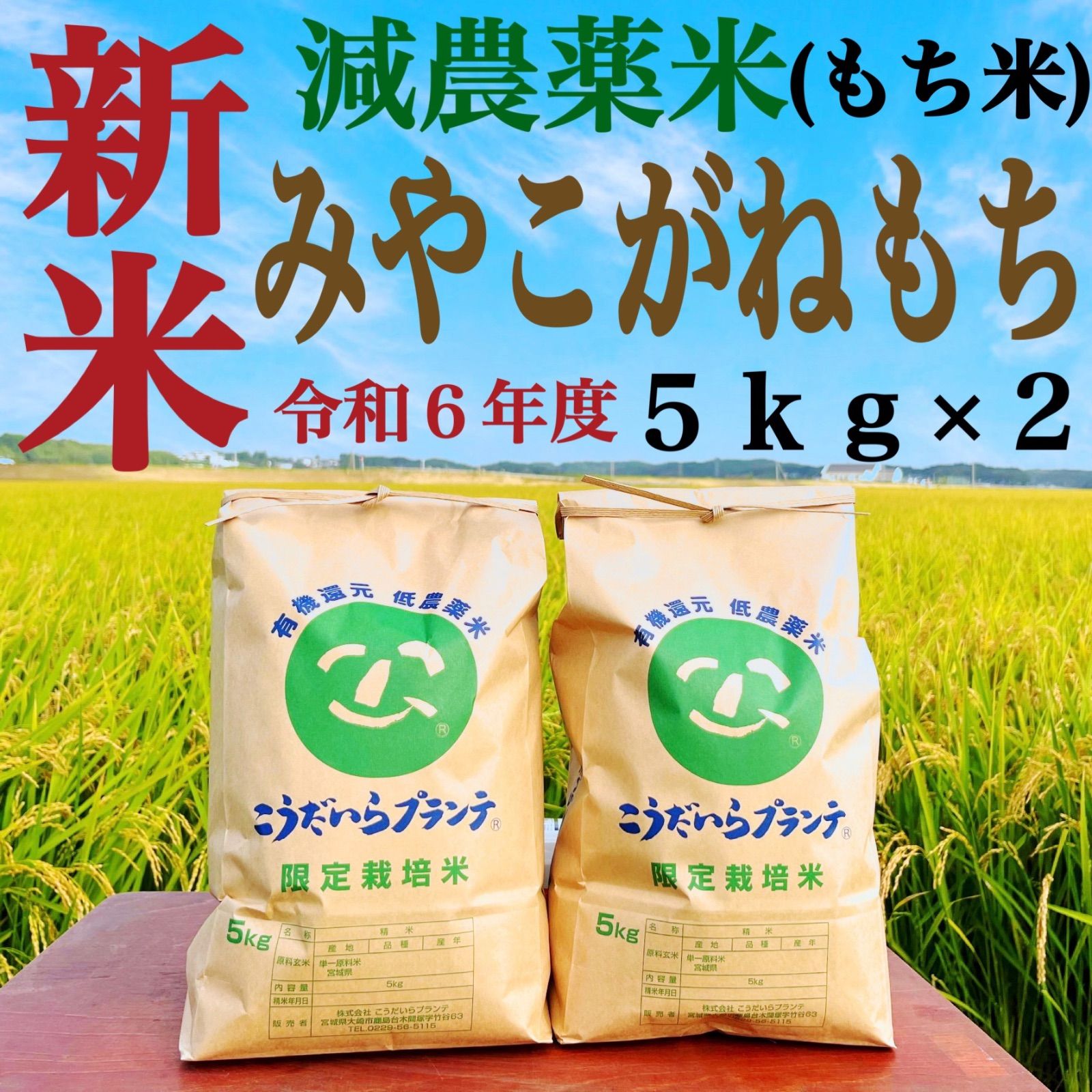 令和6年 餅米 宮城県産 みやこがね 20キロ モチ 送料 令和6年 餅米 宮城県産 みやこがね 20キロ モチ 送料