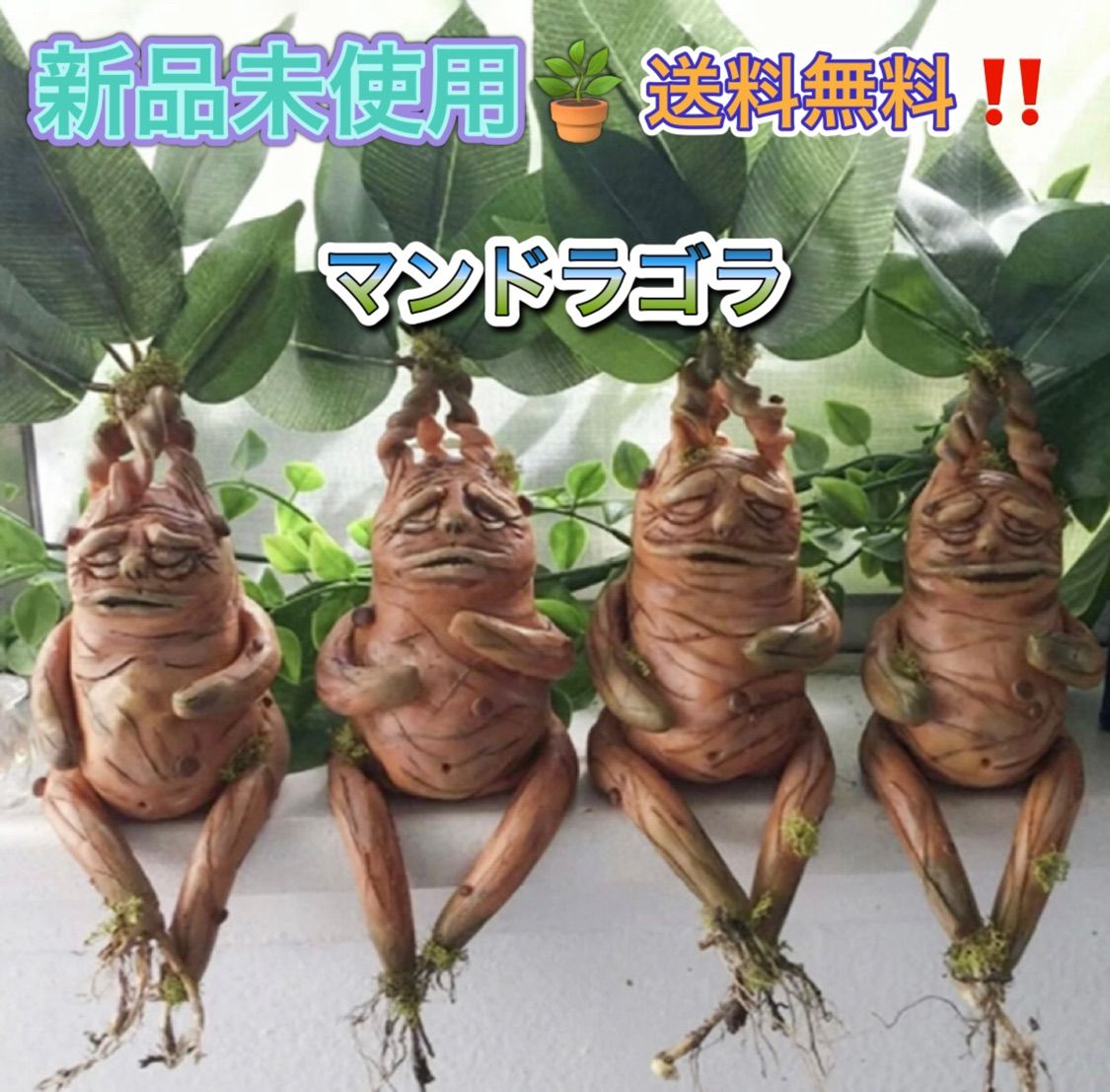 ティート　マンドラゴラ　未開封 置物 マンドラゴラ 4個セット マンドレイク ホラー リアル