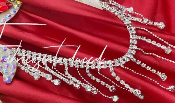 ブラ スカートセット