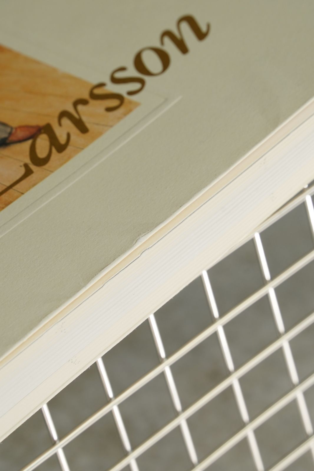 1994年開催／希少チラシ付／国内流通少 カール・ラーション展 公式図録