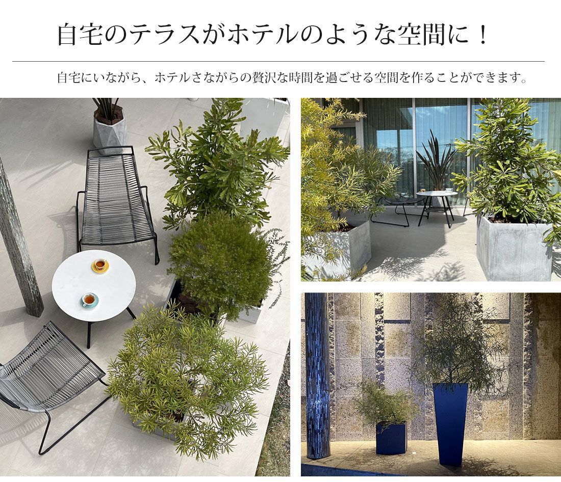 品 プランター