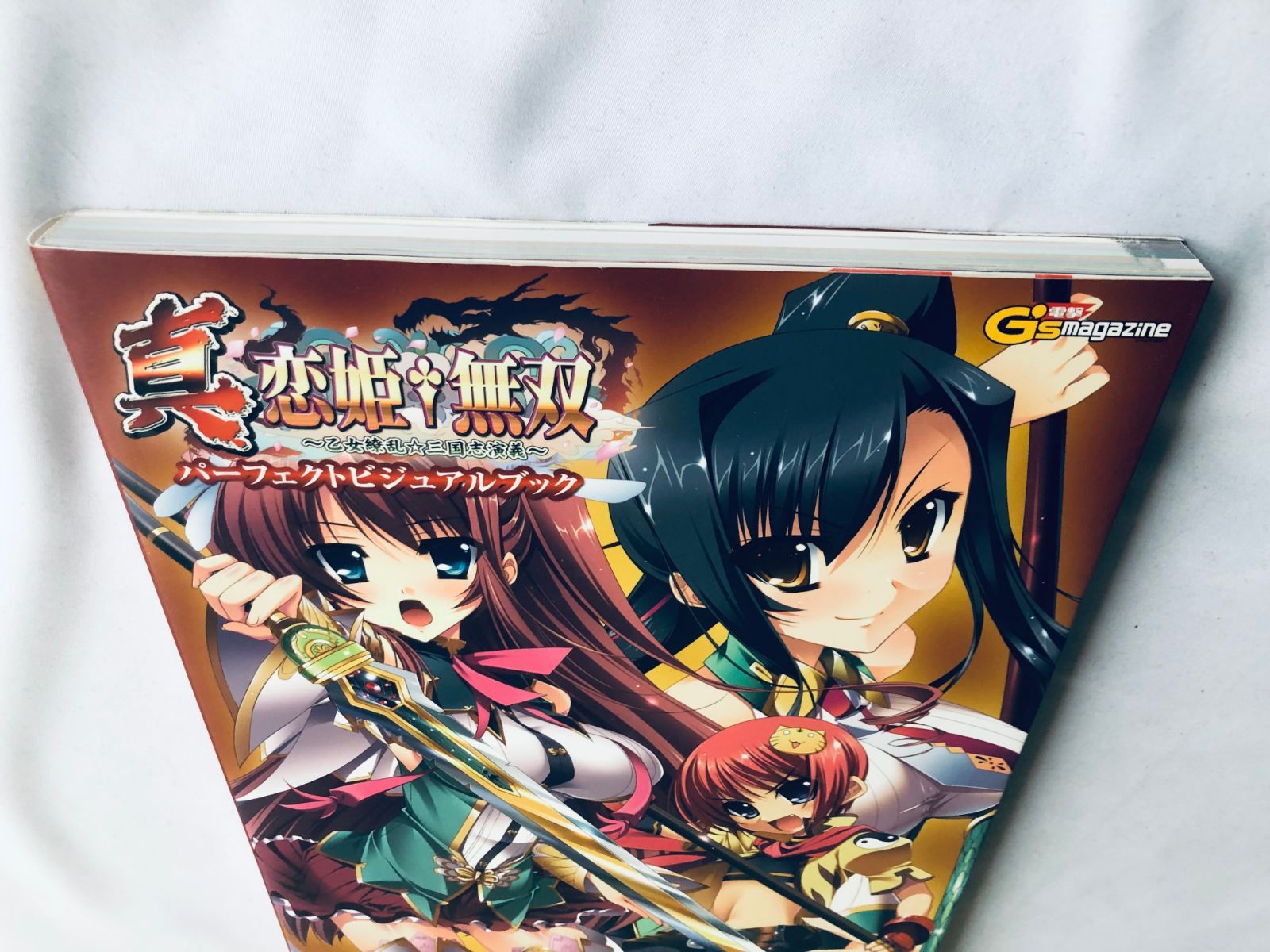 真・恋姫無双 乙女繚乱 三国志演義 パーフェクトビジュアル