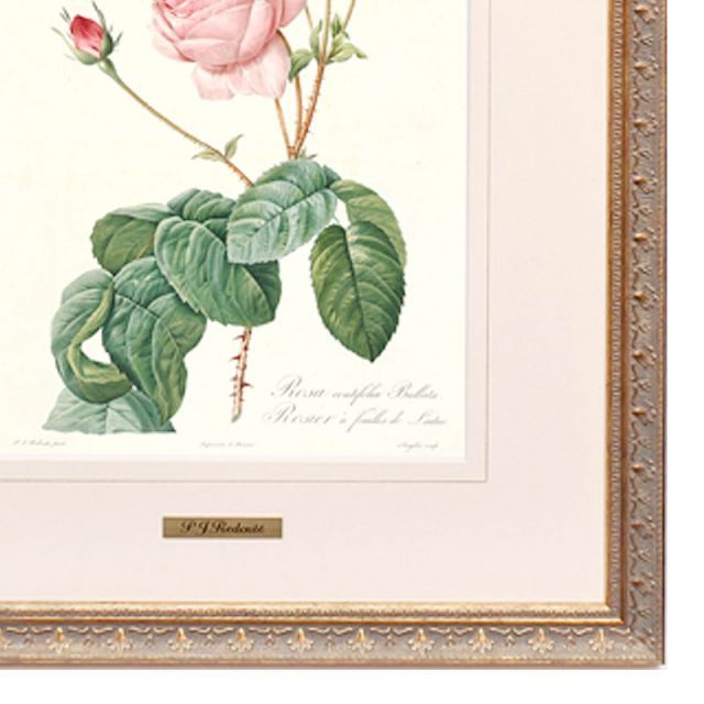 絵画 インテリア ルドゥーテ ローズ 絵額 複製画 『 バラ図譜 』 ロサ
