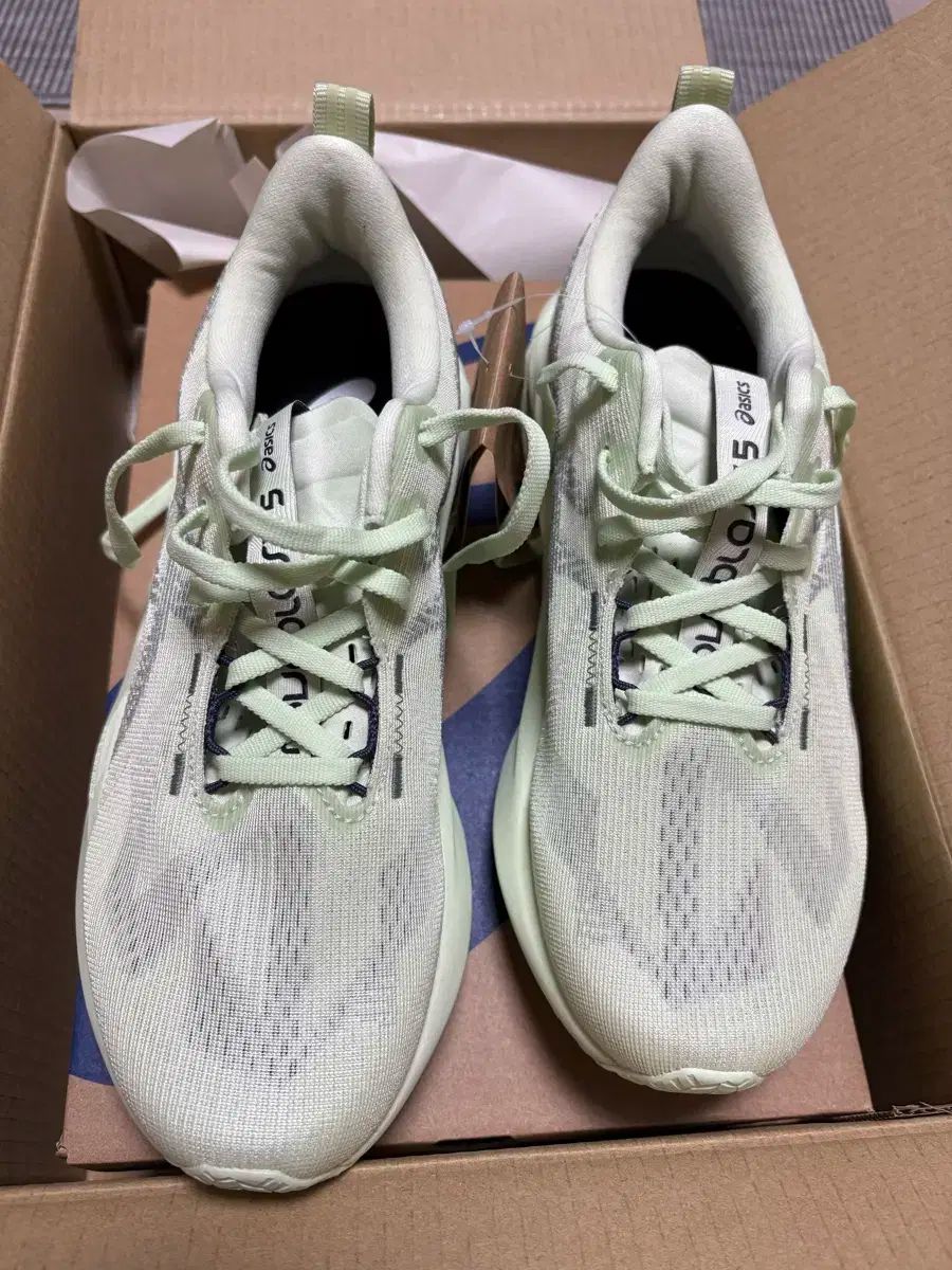 アシックス ノヴァブラスト5 ウィメンズ 250 WHISPER ウール グリーン モニュメント ブルー