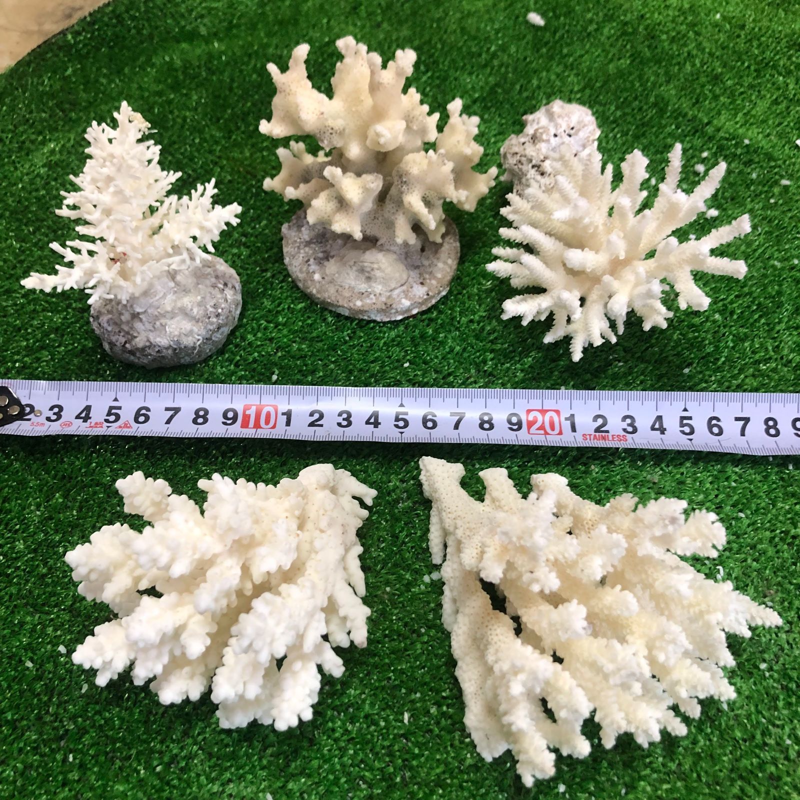 珊瑚 ミニ 置物 「布袋尊」 Z-7と本極太珊瑚置物 25cm - インテリア雑貨