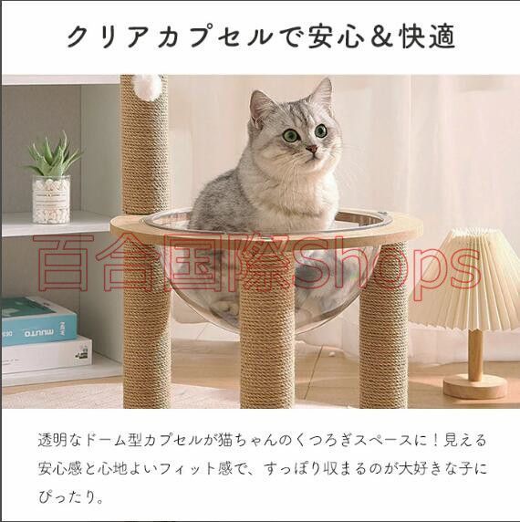 クリアボウル キャット タワー 透明 ボウル スケルトンキャットタワー