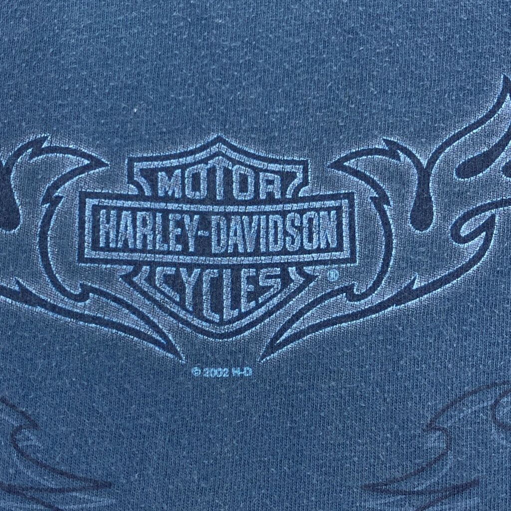 Ｔシャツ