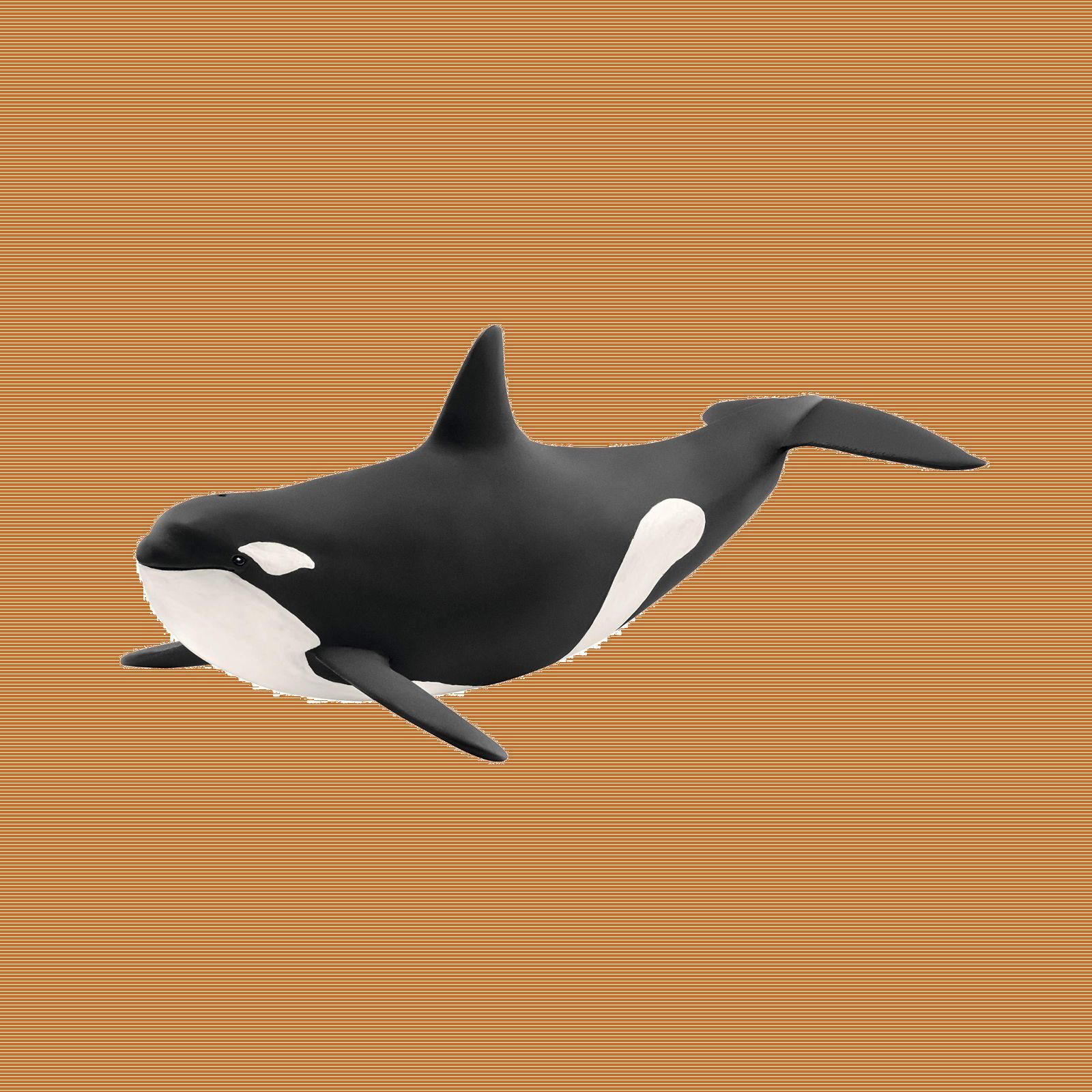 14807 フィギュア シャチ ワイルドライフ シュライヒ(Schleich) - メルカリ