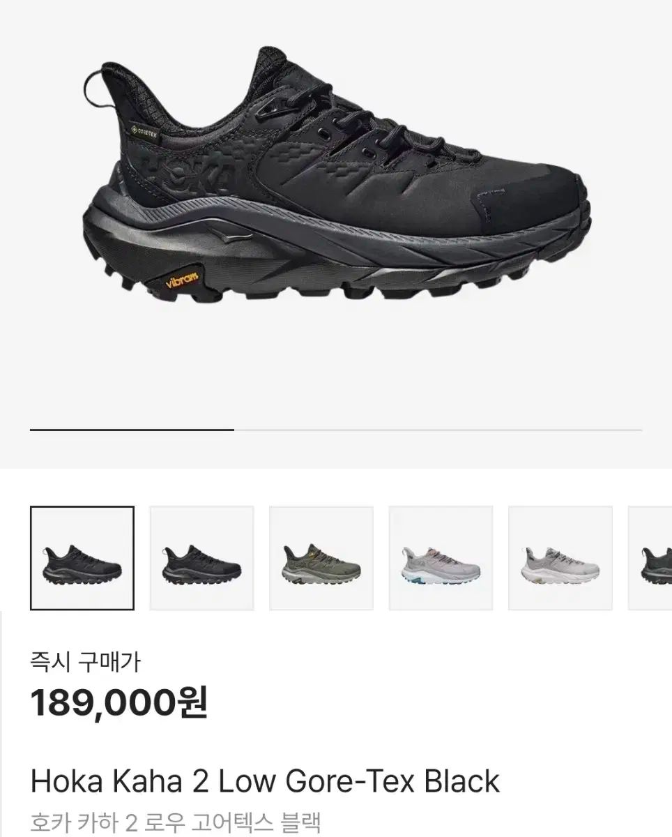 カハ２ ゴアテックス