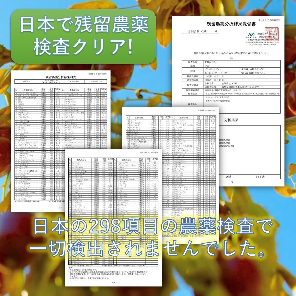 特選なつめ 450g 無添加 ナツメ ドライフルーツ 298項目農薬検査で一切不検出