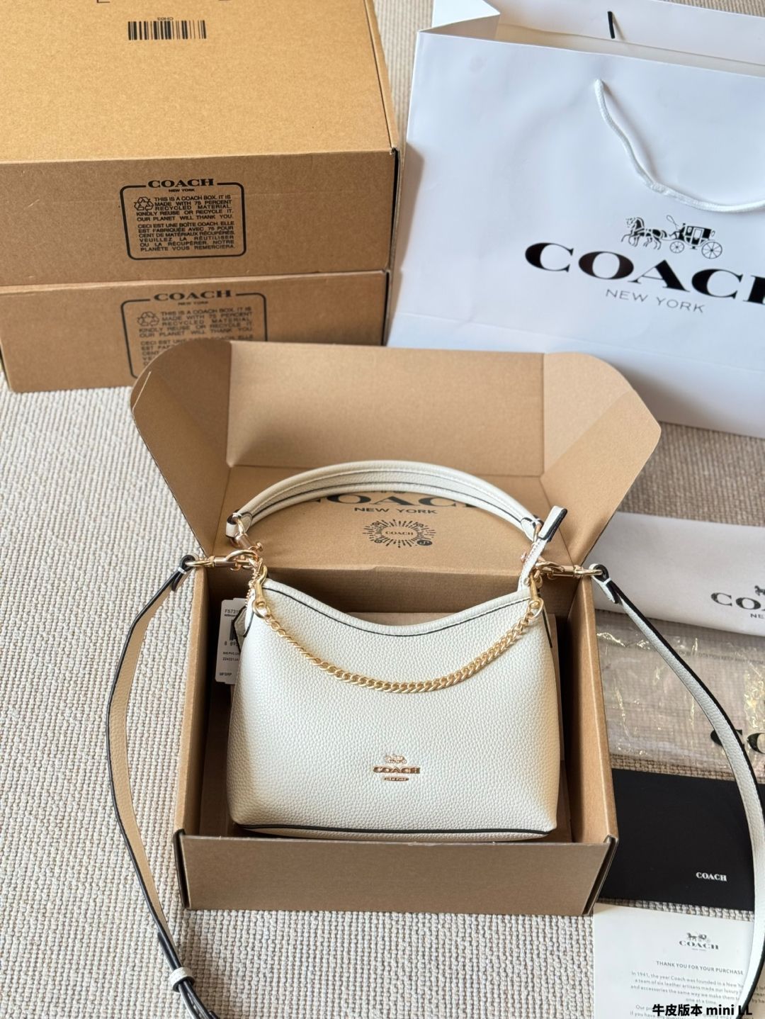 今日 Coach Laurel 19 Mini Hobo Bag | クーチ ローレル 19 ミニ ホボ バッグ | 在庫