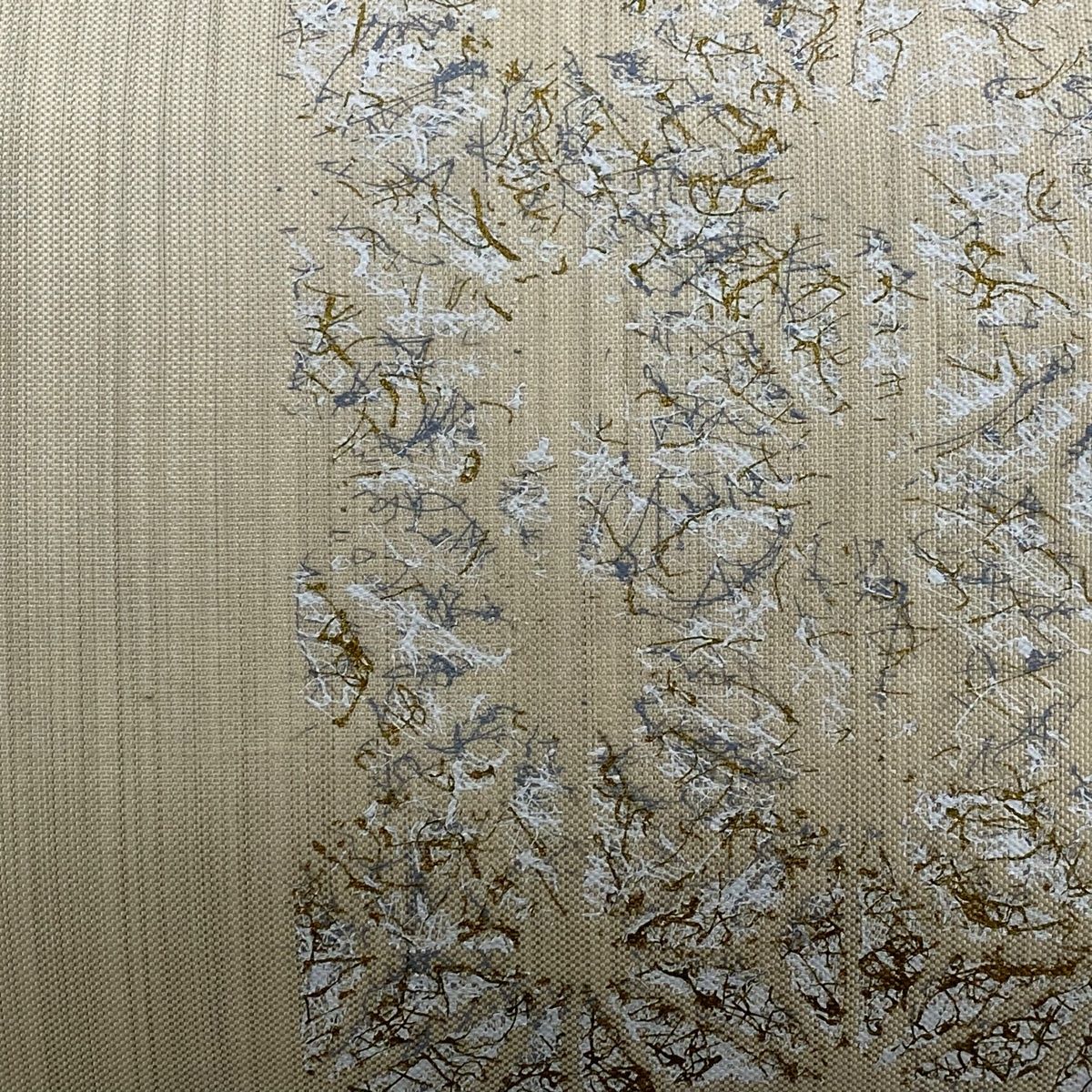 縞 金彩