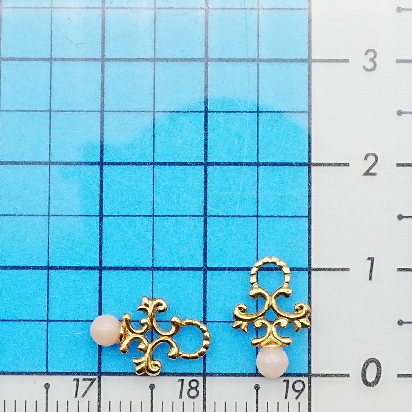 コーラル 24-4317