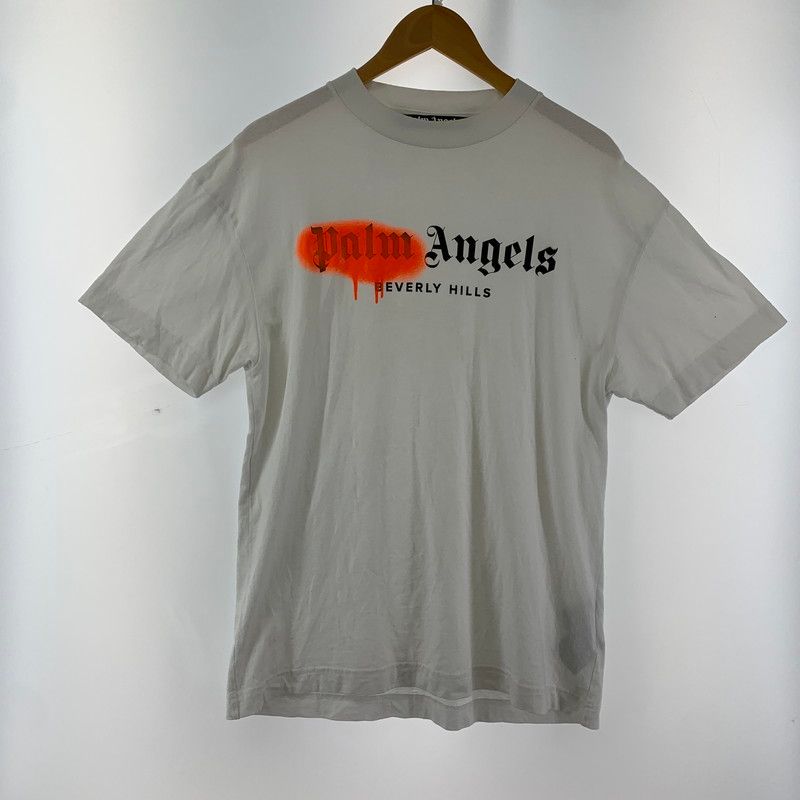 ディープ・デモクラシー: 〈葛藤解決〉への実践的ステップ